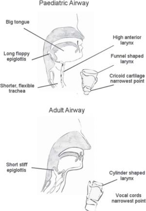 Basic Science Relevant to Practical Pediatric Anesthesia - PedsAnesWiki